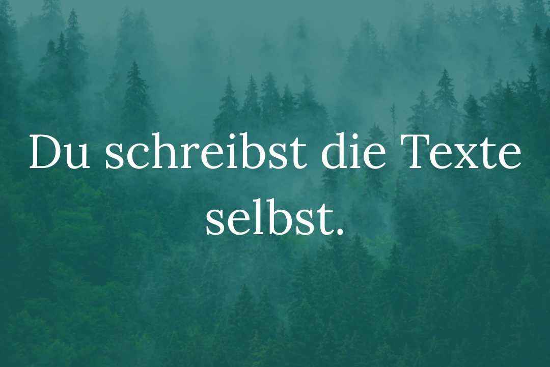 Website erstellen Kosten Du schreibst die Texte selbst