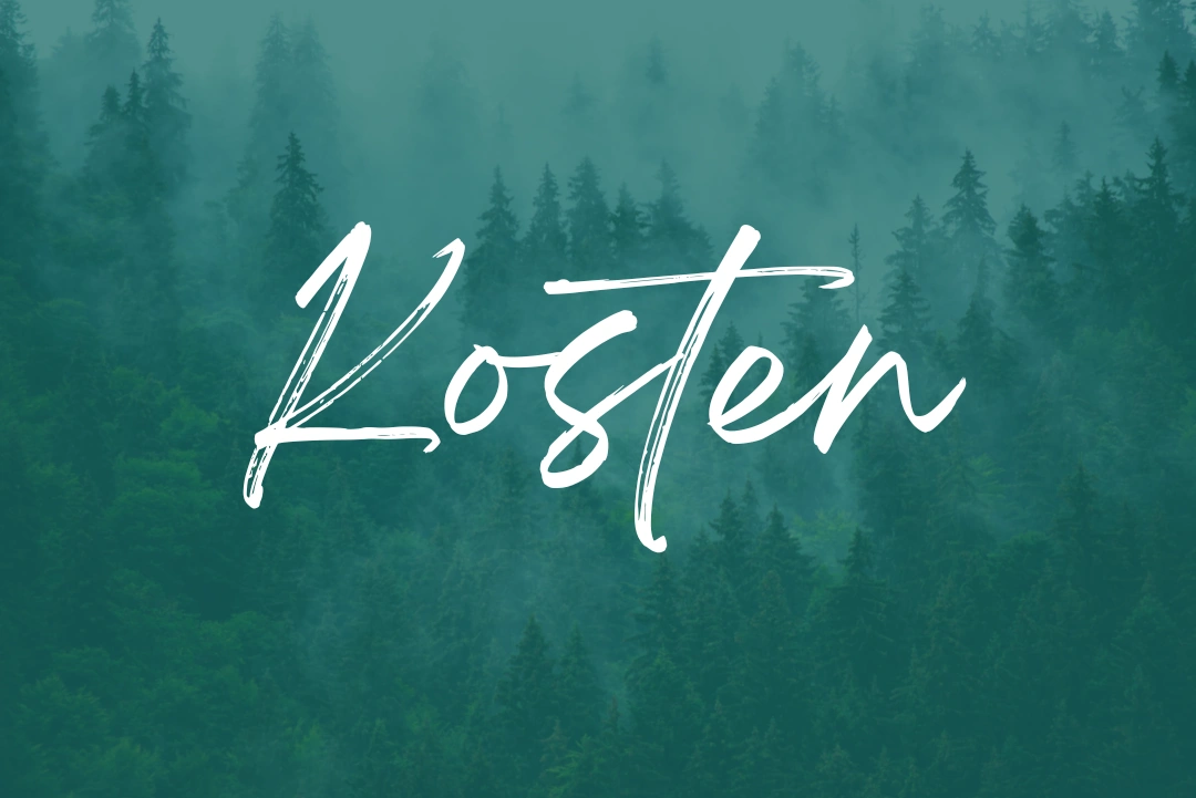 Wix oder WordPress - Kosten Wix oder WordPress - Kosten