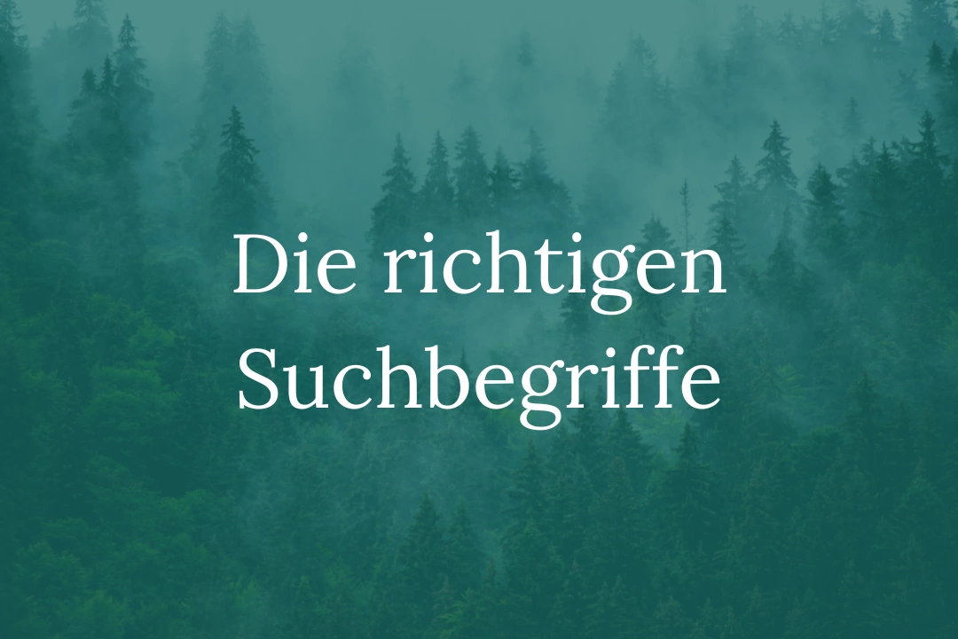 Suchbegriff klar oder vage Beispiel für einen klaren und einen unklaren Suchbegriff einer Texterin-Website